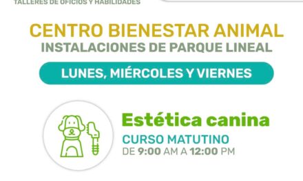 «Renacemos Juntos»: talleres para aprender, emprender y transformar tu vida