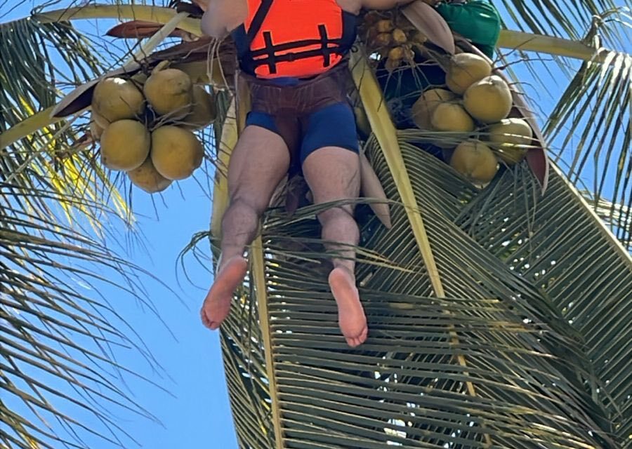 Rescate de persona en palmera al caer con paracaidas