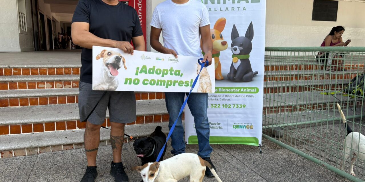 ¡Adopta, no compres! Cachorros encuentran hogar en nueva jornada de adopción