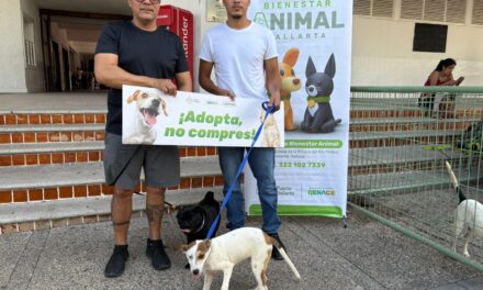 ¡Adopta, no compres! Cachorros encuentran hogar en nueva jornada de adopción