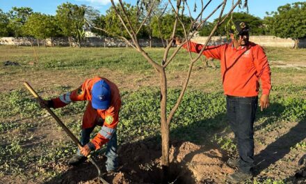 Construcción del nuevo estadio “Nicolás Álvarez Ortega”, con respeto al medio ambiente