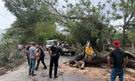 SSPC atiende afectaciones por lluvias en Nayarit