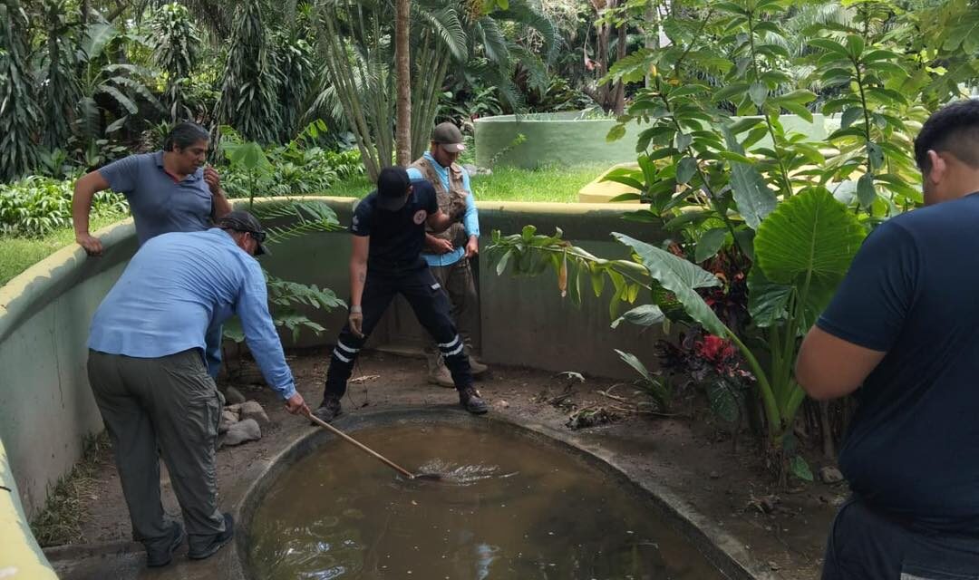 CUC y Protección Civil impulsan formación especializada en manejo de cocodrilos