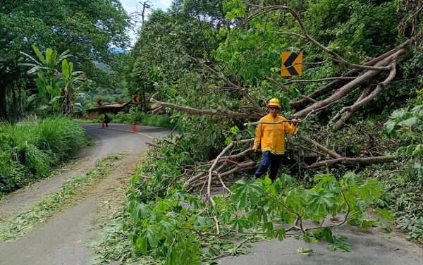 Bomberos del Estado atienden efectos naturales por lluvias en Nayarit