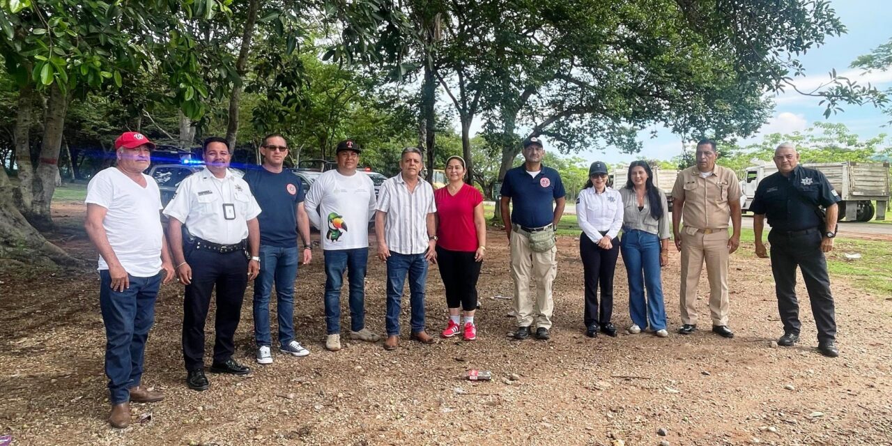 Todo listo para las paseadas de las Palmas