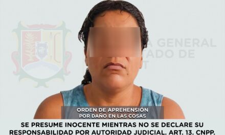 DETENIDA PRESUNTA RESPONSABLE DE DAÑO EN LAS COSAS