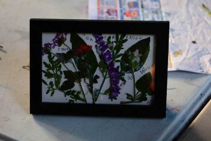 ¡TRANSFORMA TU VERANO, TRANSFORMA EL PLANETA!