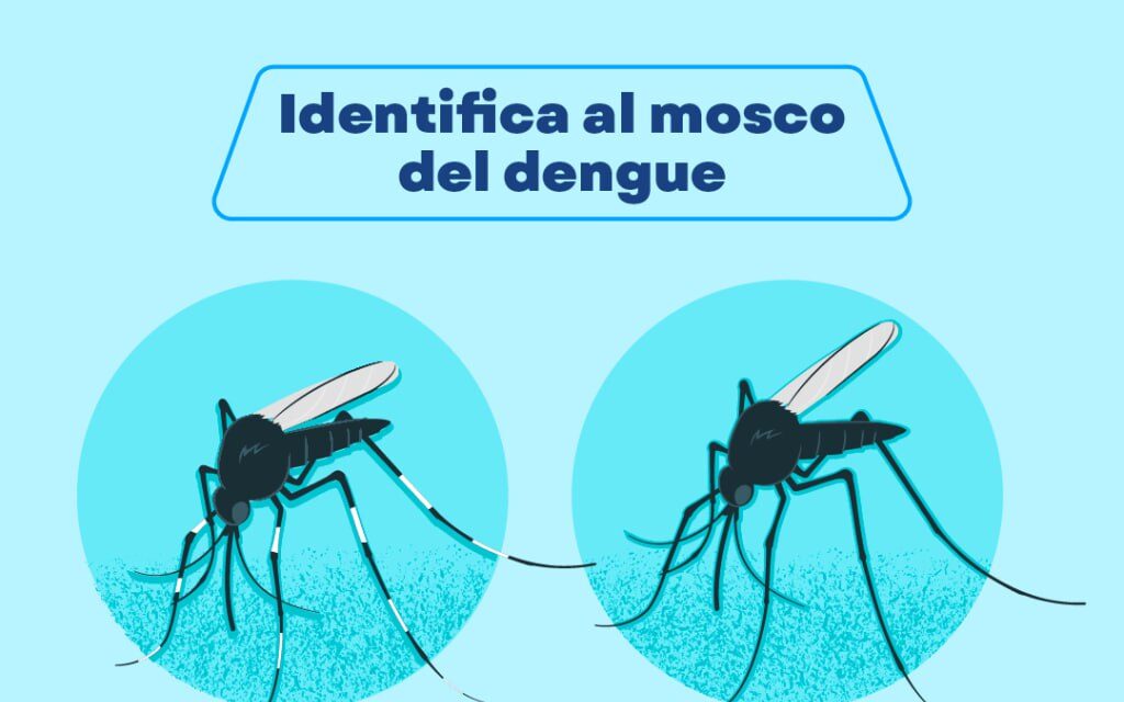 ¡TODOS CONTRA EL DENGUE! PREVENIR ESTÁ EN TUS MANOS