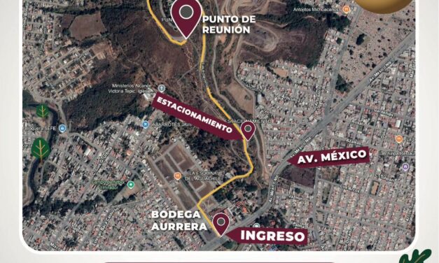 ¡SÚMATE A LA REFORESTACIÓN DEL CERRO DE LA CRUZ!