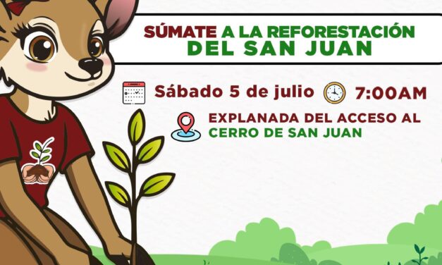 ¡REFORESTEMOS EL CERRO DE SAN JUAN ESTE 5 DE JULIO! 🌄💚 PLANTA UN ÁRBOL, DEJA HUELLA VERDE