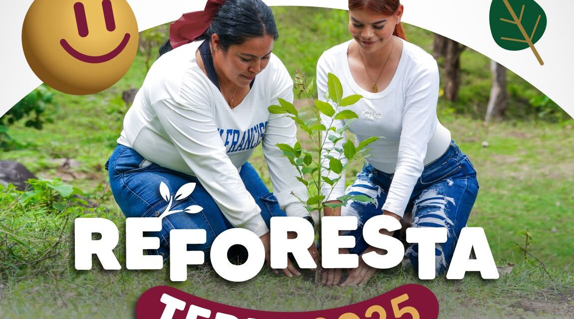 ¡ESTE SÁBADO REFORESTAMOS EL CERRO DE LA CRUZ!