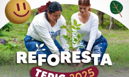 ¡ESTE SÁBADO REFORESTAMOS EL CERRO DE LA CRUZ!
