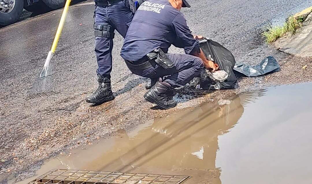 ¡TRAS LAS LLUVIAS, TEPIC ACTÚA DE INMEDIATO!