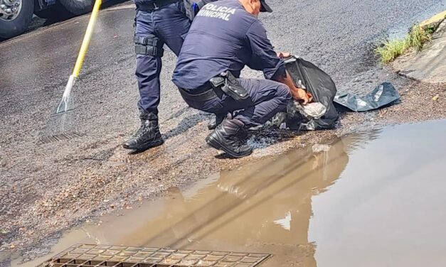 ¡TRAS LAS LLUVIAS, TEPIC ACTÚA DE INMEDIATO!