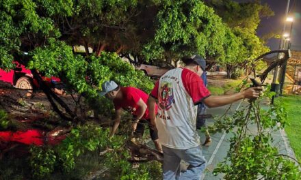 ¡MAZATLÁN ACTÚA ANTE LA LLUVIA!