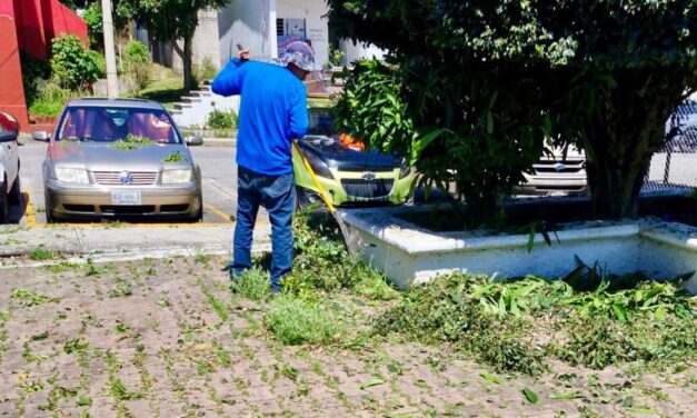 SERVICIOS PÚBLICOS DE TEPIC REALIZAN TRABAJOS DE LIMPIEZA Y MANTENIMIENTO EN FOVISSSTE LAS BRISAS