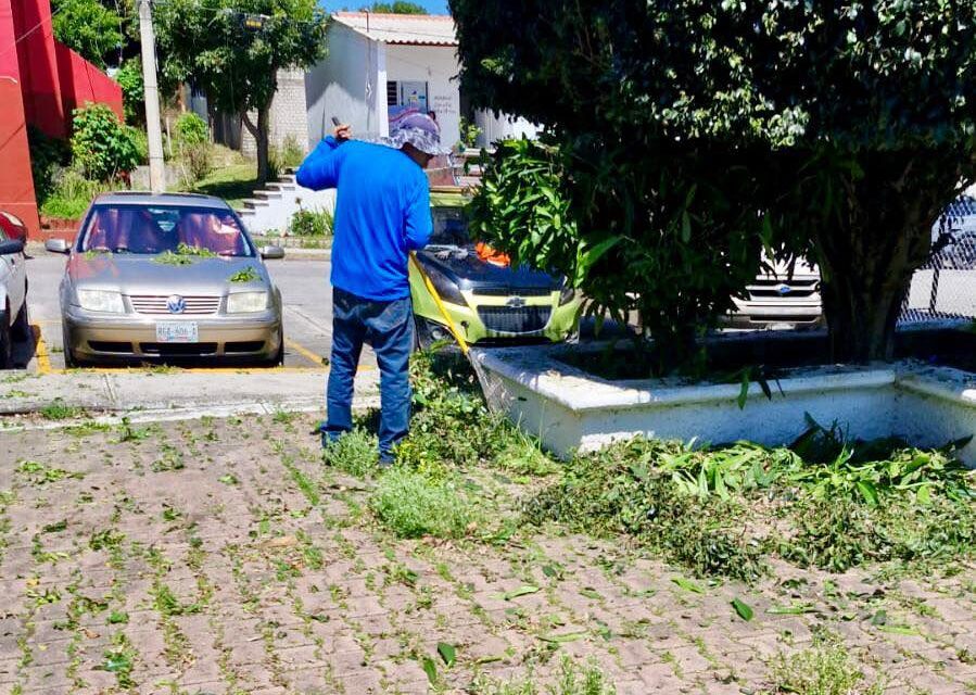 SERVICIOS PÚBLICOS DE TEPIC REALIZAN TRABAJOS DE LIMPIEZA Y MANTENIMIENTO EN FOVISSSTE LAS BRISAS