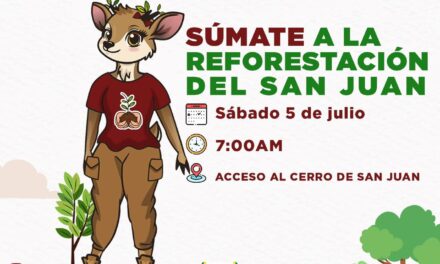¡EXPLORAR, JUGAR Y APRENDER: ASÍ SE VIVE LA CIENCIA EN LAS INFANCIAS!