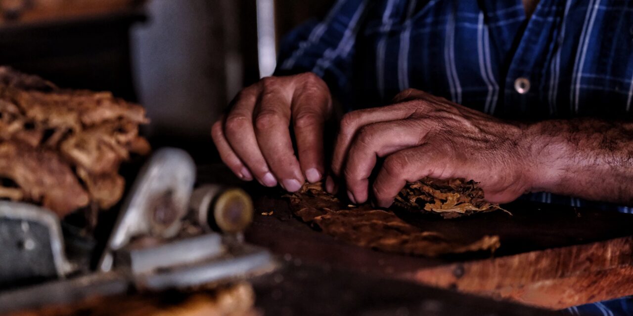 ADELANTE JALISCO: APOYOS PARA MIPYMES