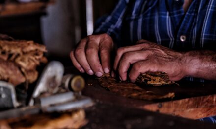 ADELANTE JALISCO: APOYOS PARA MIPYMES