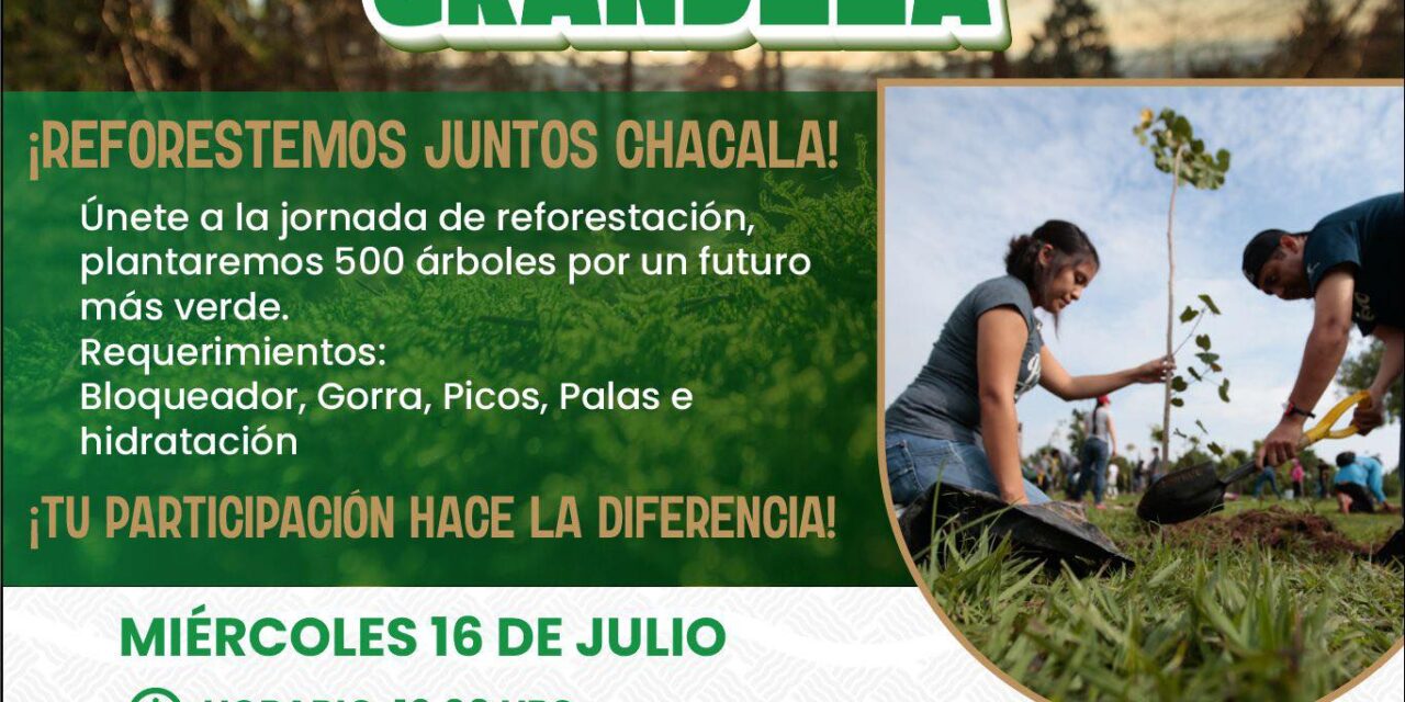 ¡SEMBRAR HOY ES CRECER EN GRANDEZA MAÑANA!