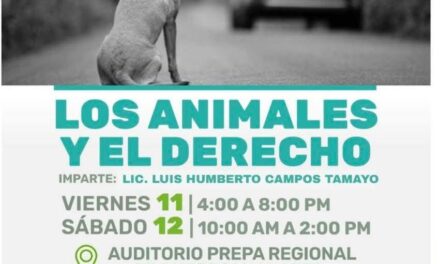 POR UN VALLARTA LIBRE DE CRUELDAD: INVITAN AL TALLER “LOS ANIMALES Y EL DERECHO”