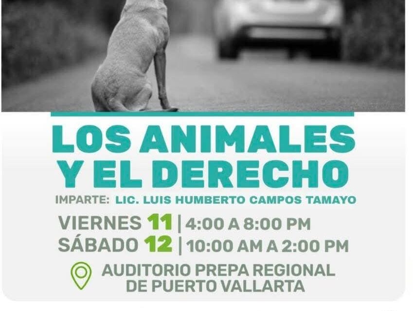 POR UN VALLARTA LIBRE DE CRUELDAD: INVITAN AL TALLER “LOS ANIMALES Y EL DERECHO”