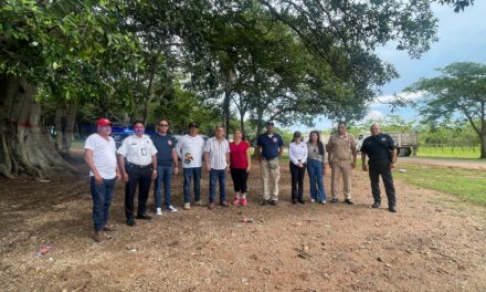 TODO LISTO PARA LAS PASEADAS DE LAS PALMAS