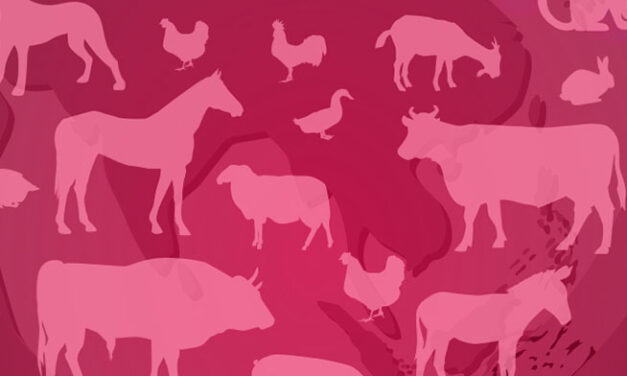 Vacunación y vigilancia para proteger la salud ante zoonosis