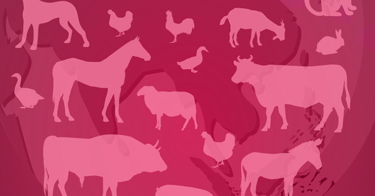 Vacunación y vigilancia para proteger la salud ante zoonosis