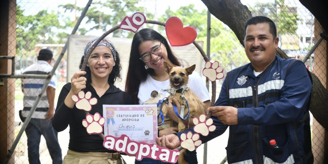 Mazatlán celebra el Día Mundial del Perro con amor y acción