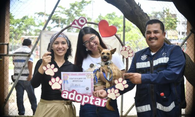 Mazatlán celebra el Día Mundial del Perro con amor y acción