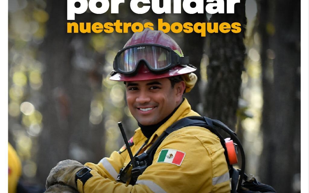 ¡GRACIAS, HÉROES DE LOS BOSQUES!