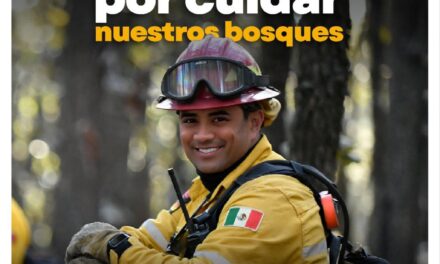 ¡GRACIAS, HÉROES DE LOS BOSQUES!