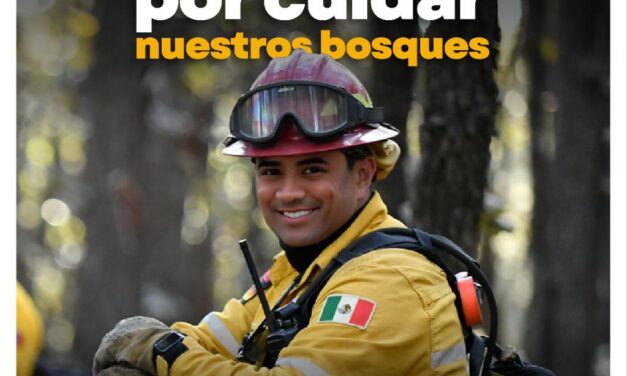 ¡GRACIAS, HÉROES DE LOS BOSQUES!