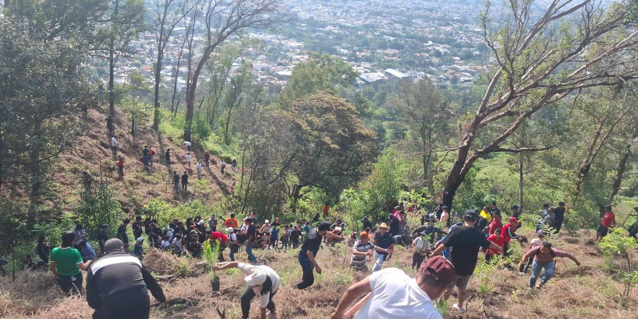 SEMBRANDO FUTURO EN EL CERRO DE SAN JUAN