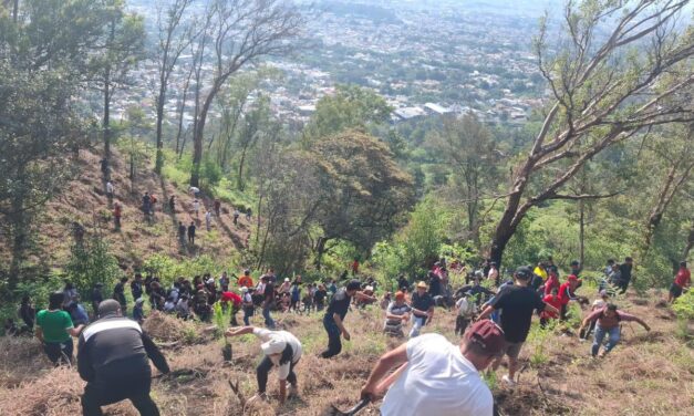 SEMBRANDO FUTURO EN EL CERRO DE SAN JUAN