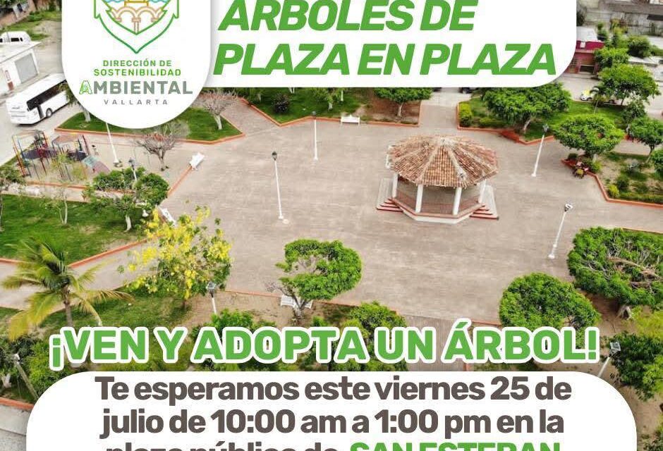 SAN ESTEBAN FLORECE CON EL PROGRAMA “ÁRBOLES DE PLAZA EN PLAZA”
