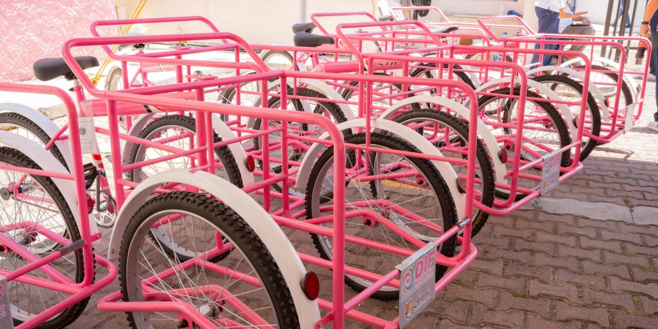 Miguel Ángel Navarro y Beatriz Estrada apoyan la economía de quienes más lo necesitan