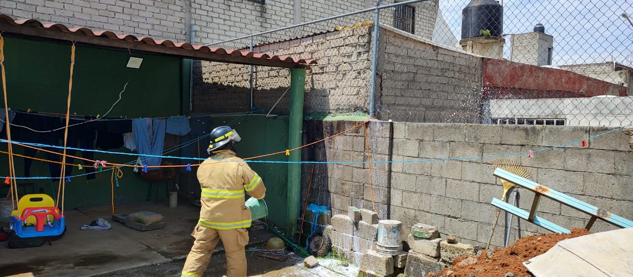 SSPC brinda atención médica tras ataque de abejas en Tepic