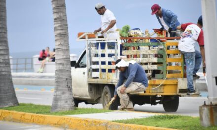 Salen 81 metros cúbicos de basura en la séptima edición del programa ‘Mazatlán te quiero limpio’
