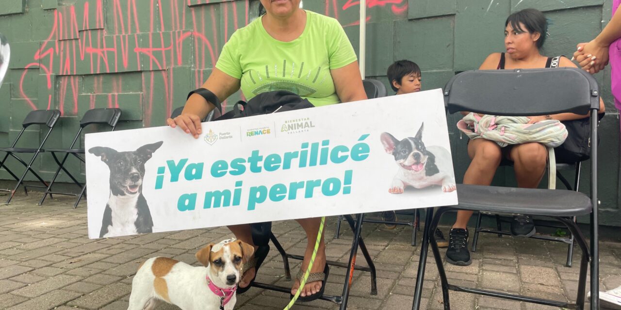 Arranca con éxito la Feria del Bienestar Animal en Puerto Vallarta