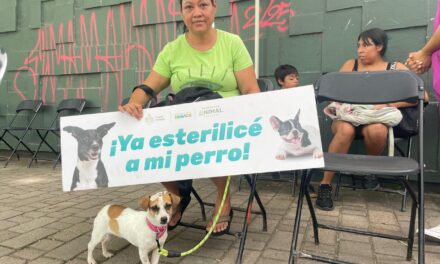 Arranca con éxito la Feria del Bienestar Animal en Puerto Vallarta