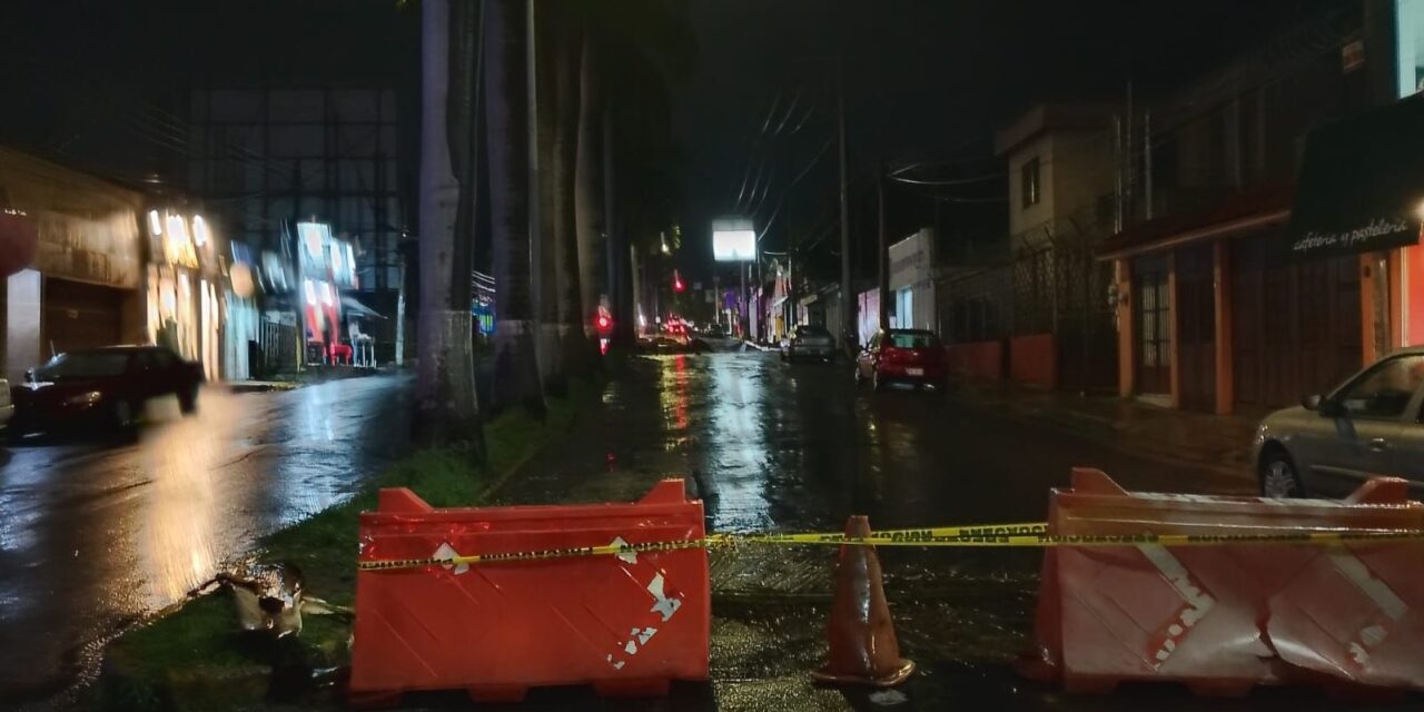 TRABAJOS DE PREVENCIÓN EN AV. JACARANDAS