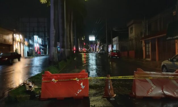 TRABAJOS DE PREVENCIÓN EN AV. JACARANDAS