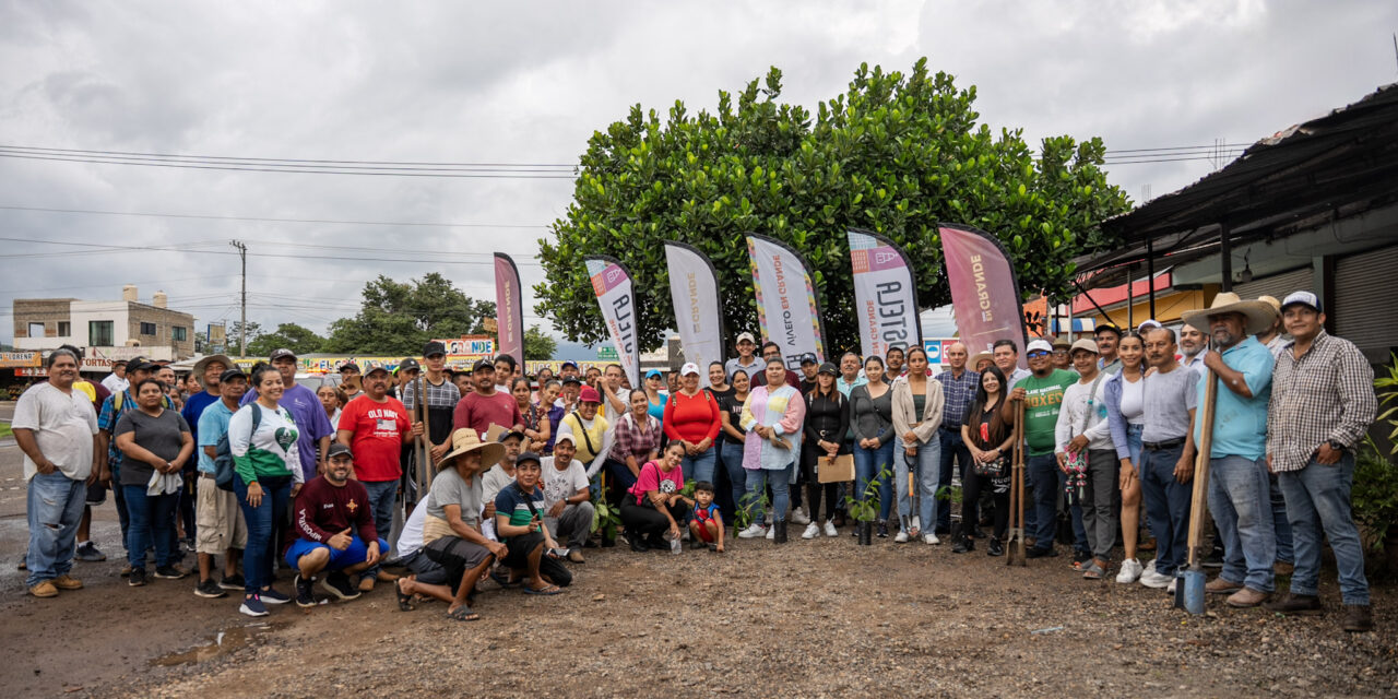 DESARROLLO RURAL Y AGROPECUARIO IMPULSA JORNADA DE REFORESTACIÓN EN CHACALA