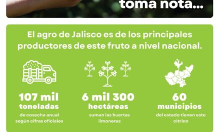 JALISCO, ORGULLO LIMONERO DE MÉXICO