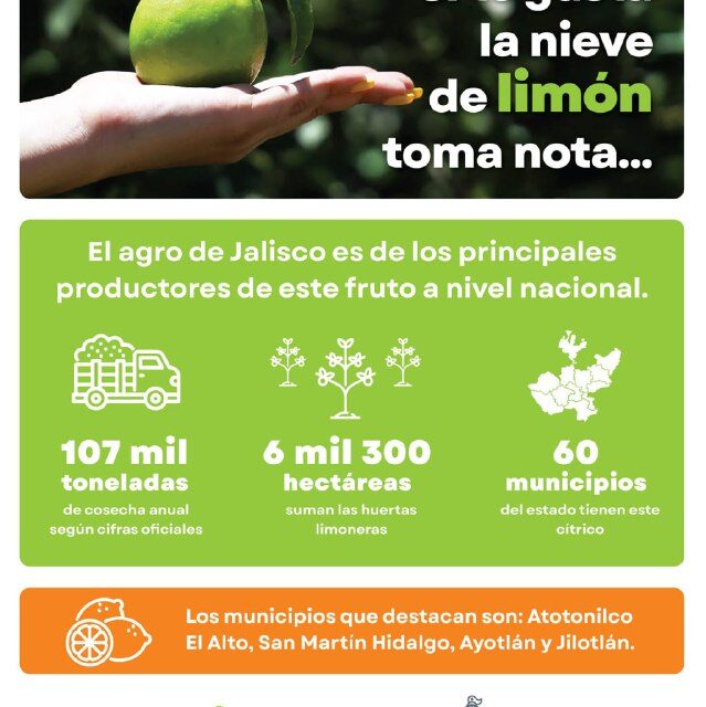 JALISCO, ORGULLO LIMONERO DE MÉXICO