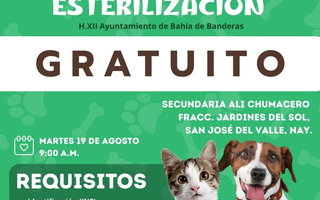 ARRANCARÁ CAMPAÑA DE ESTERILIZACIÓN GRATUITA EN BAHÍA DE BANDERAS