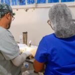 BAHÍA DE BANDERAS REFUERZA EL BIENESTAR ANIMAL CON JORNADA GRATUITA DE ESTERILIZACIÓN